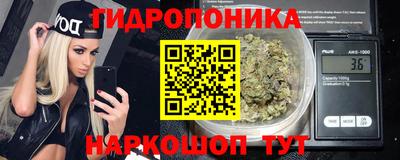 твердый Гай