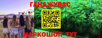 твердый Гай